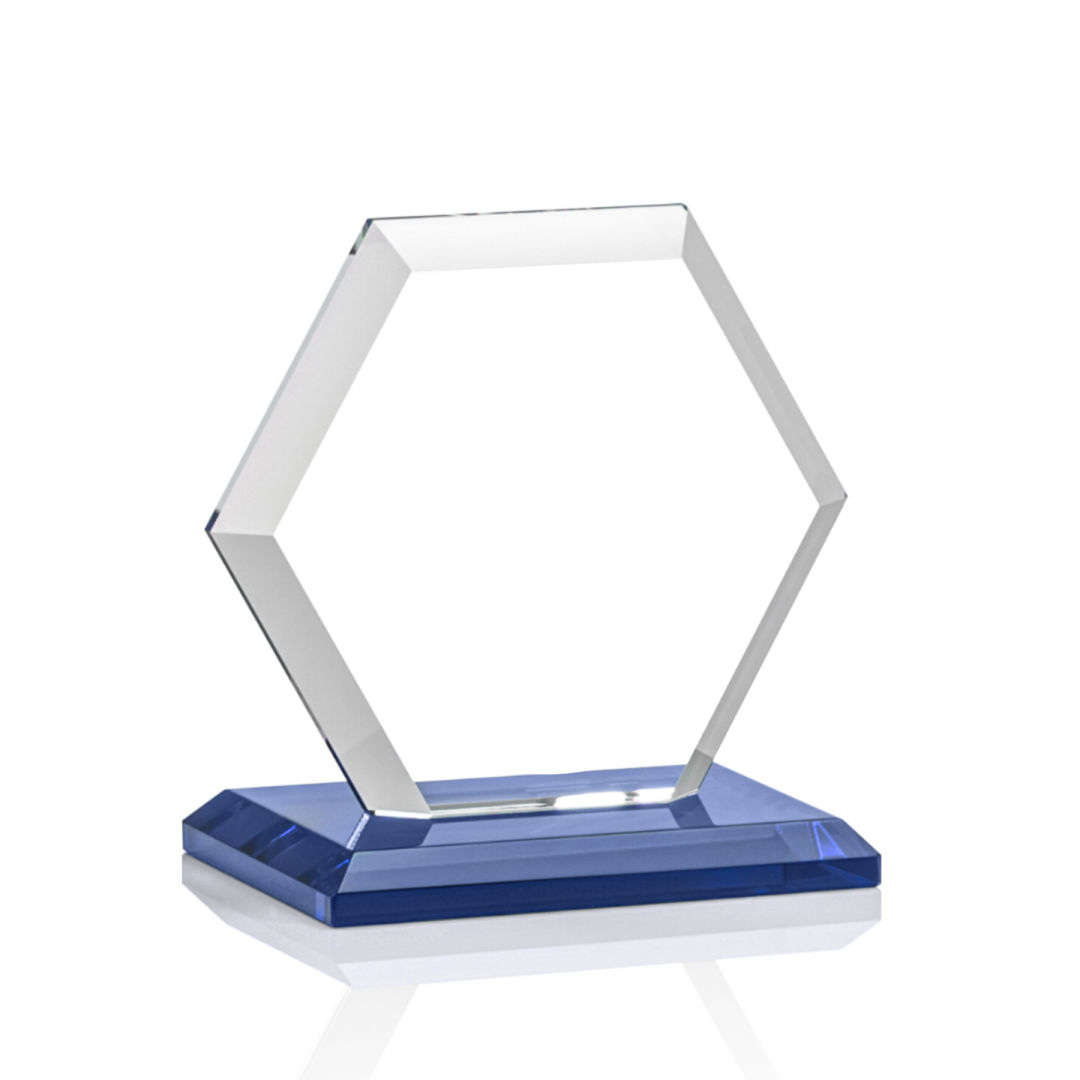 Barnett Award - Blue 14