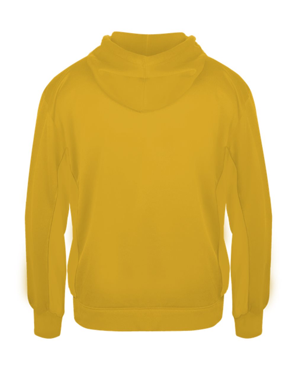 Youth Performance Fleece Hooded Sweatshirt - 2454 13