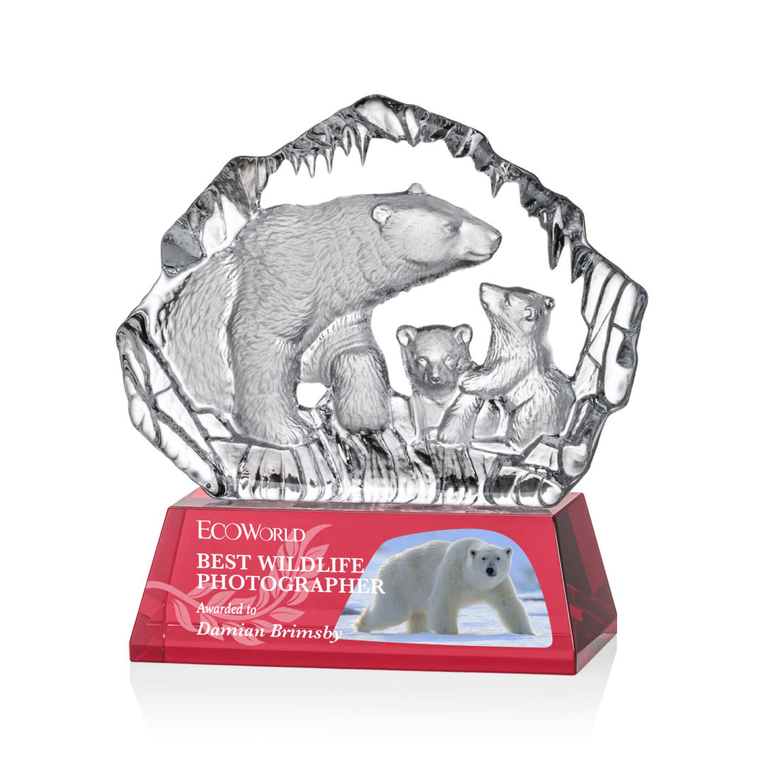 Ottavia Polar Bears VividPrint™ Award 3