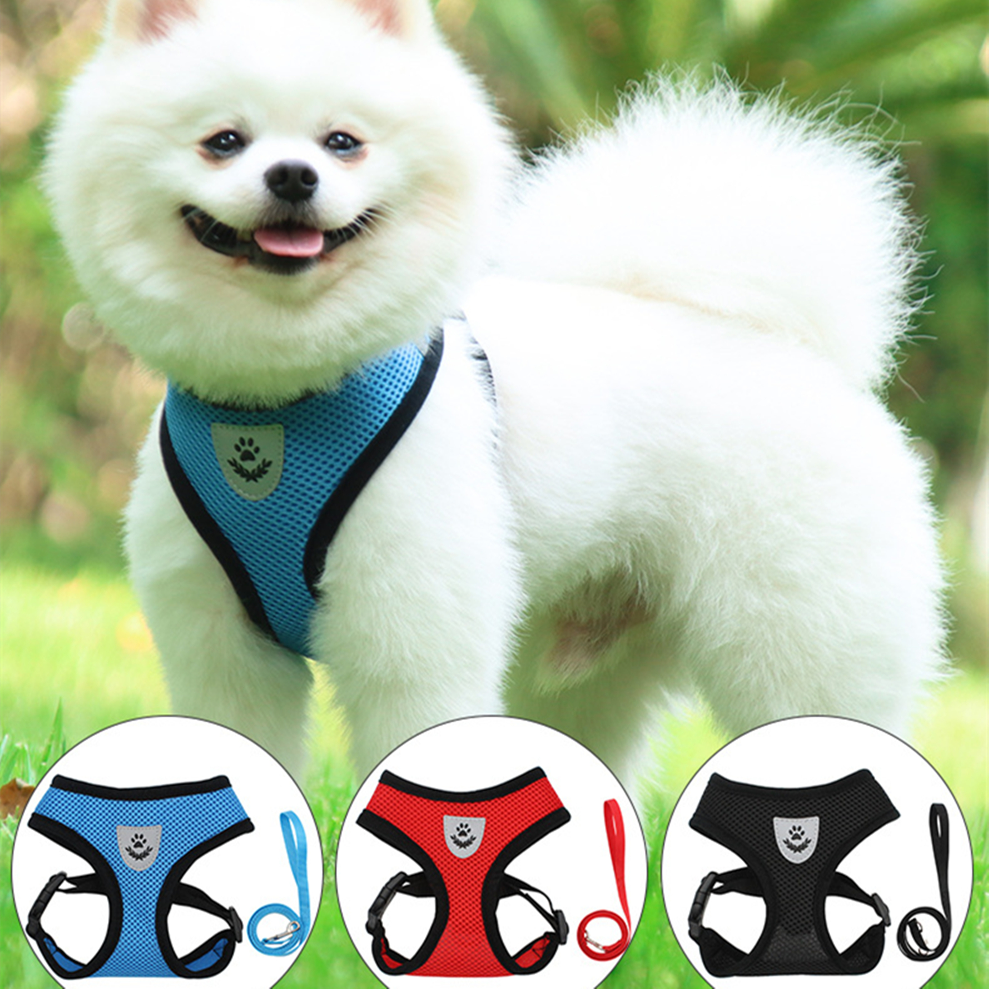 Harness And Leash Set For Small Dogs 4