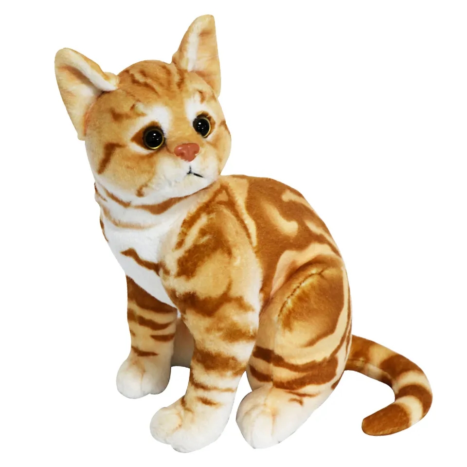 Looking Cats 4