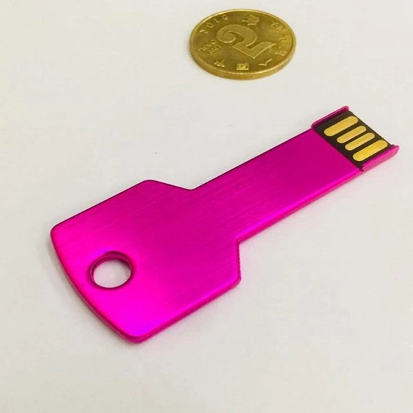 Plastic USB Webkey 2