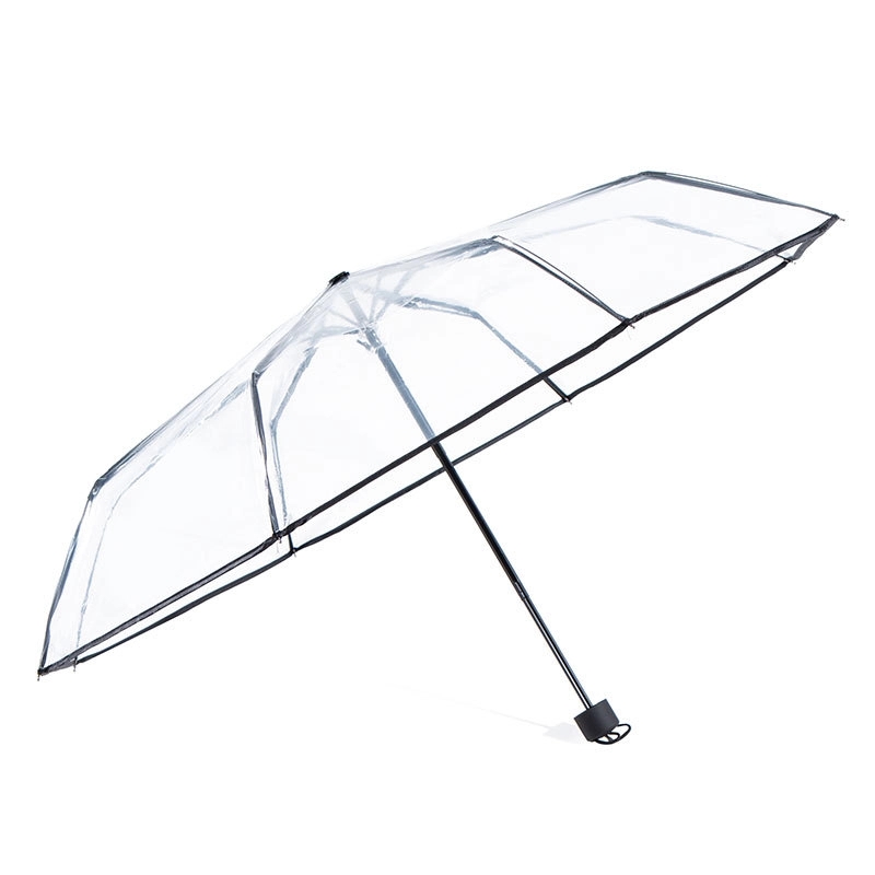 Clear Umbrella 8
