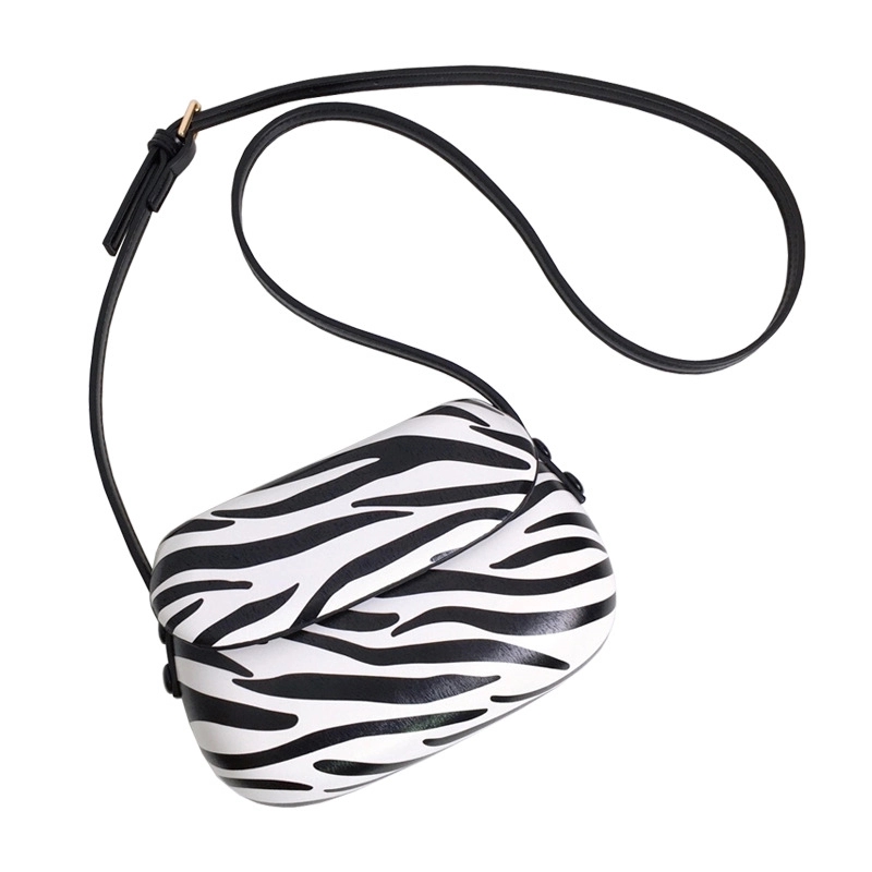 New Mini Women'S Crossbody Bag 4
