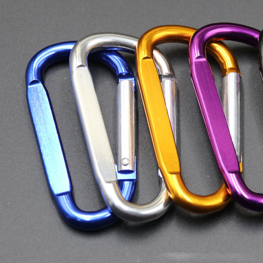 Carabiner Key Chain 6