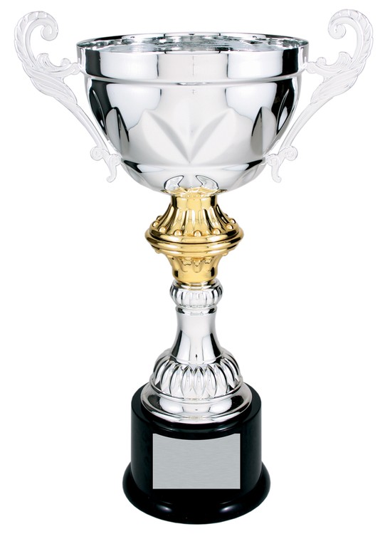 14-1/2" Tall Silver Metal Cup Trophy 2