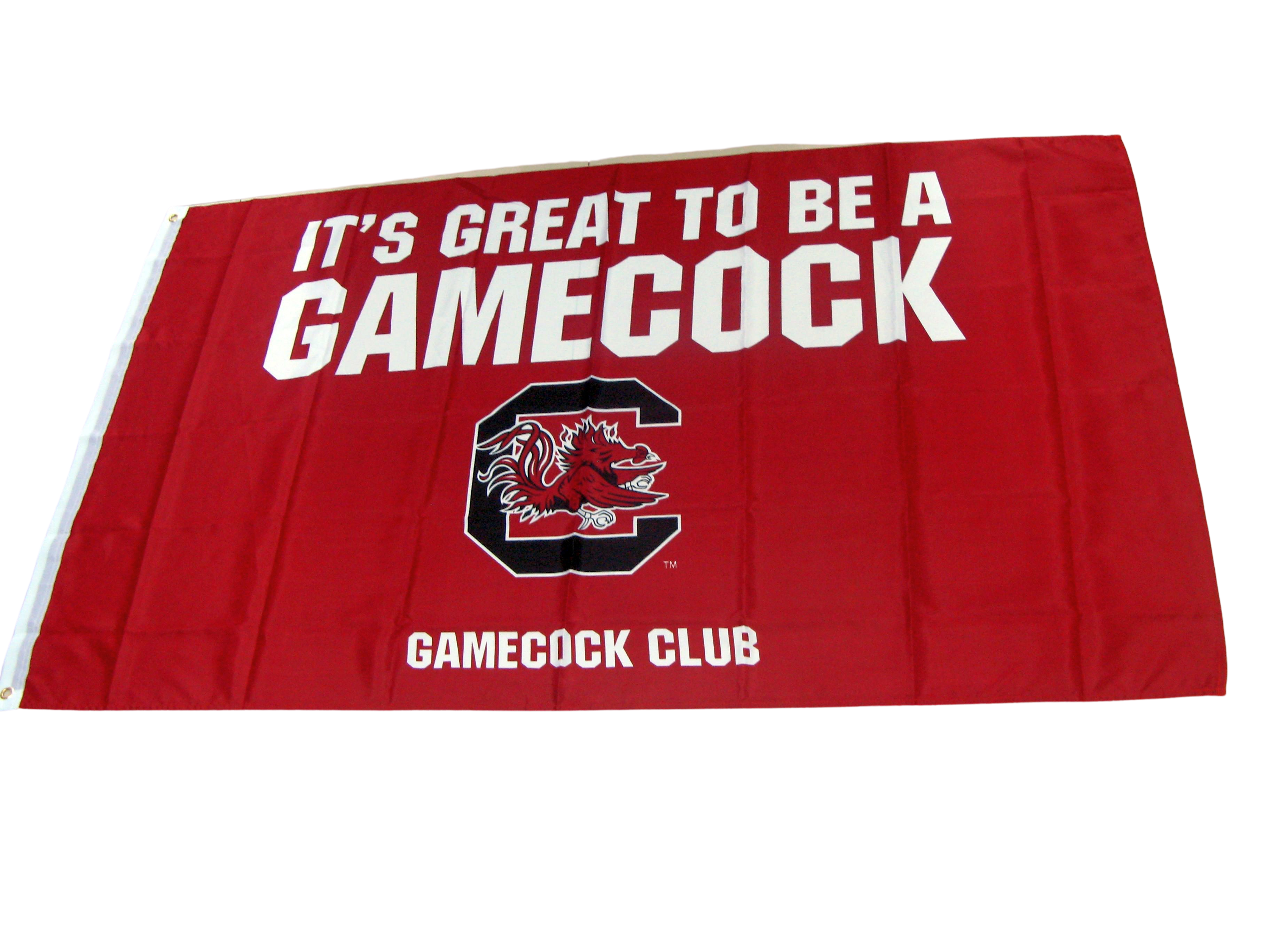 5x8ft Flag - Economy Polyester Indoor/Limited outdoor - Cust 2