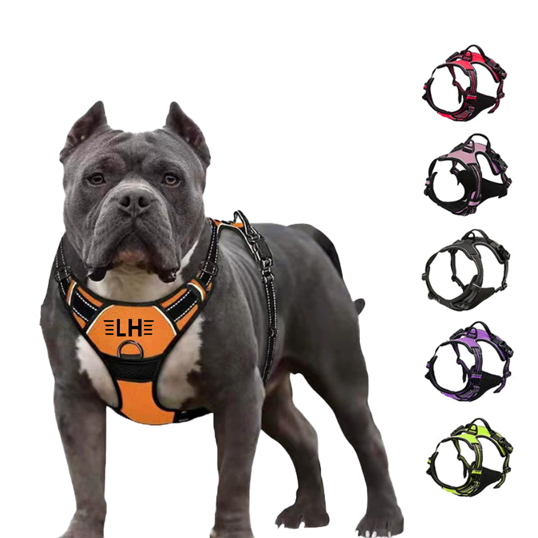 Pet Explosion-Proof Chest Harness 6