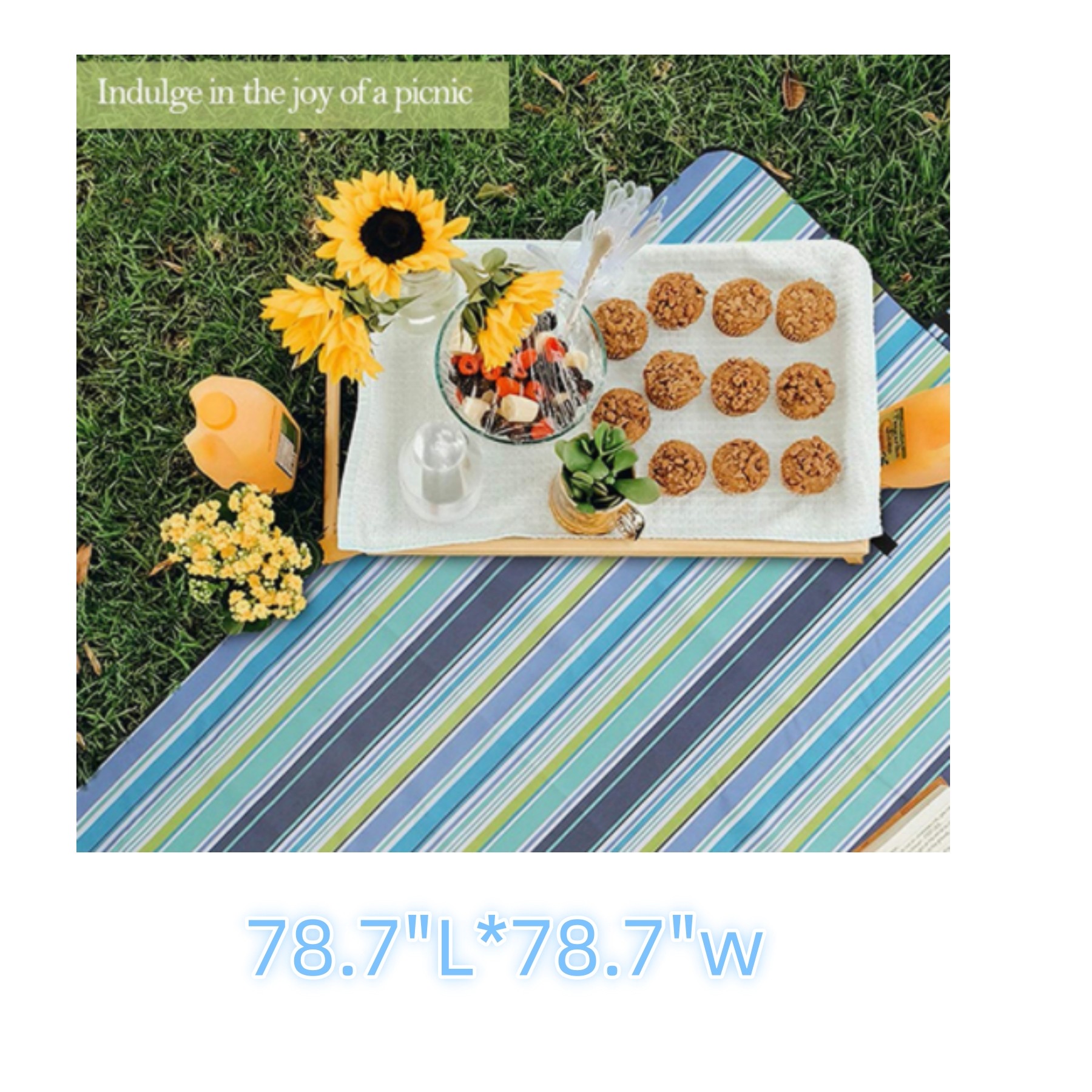 Durable Oxford Foldable Picnic Mat 2