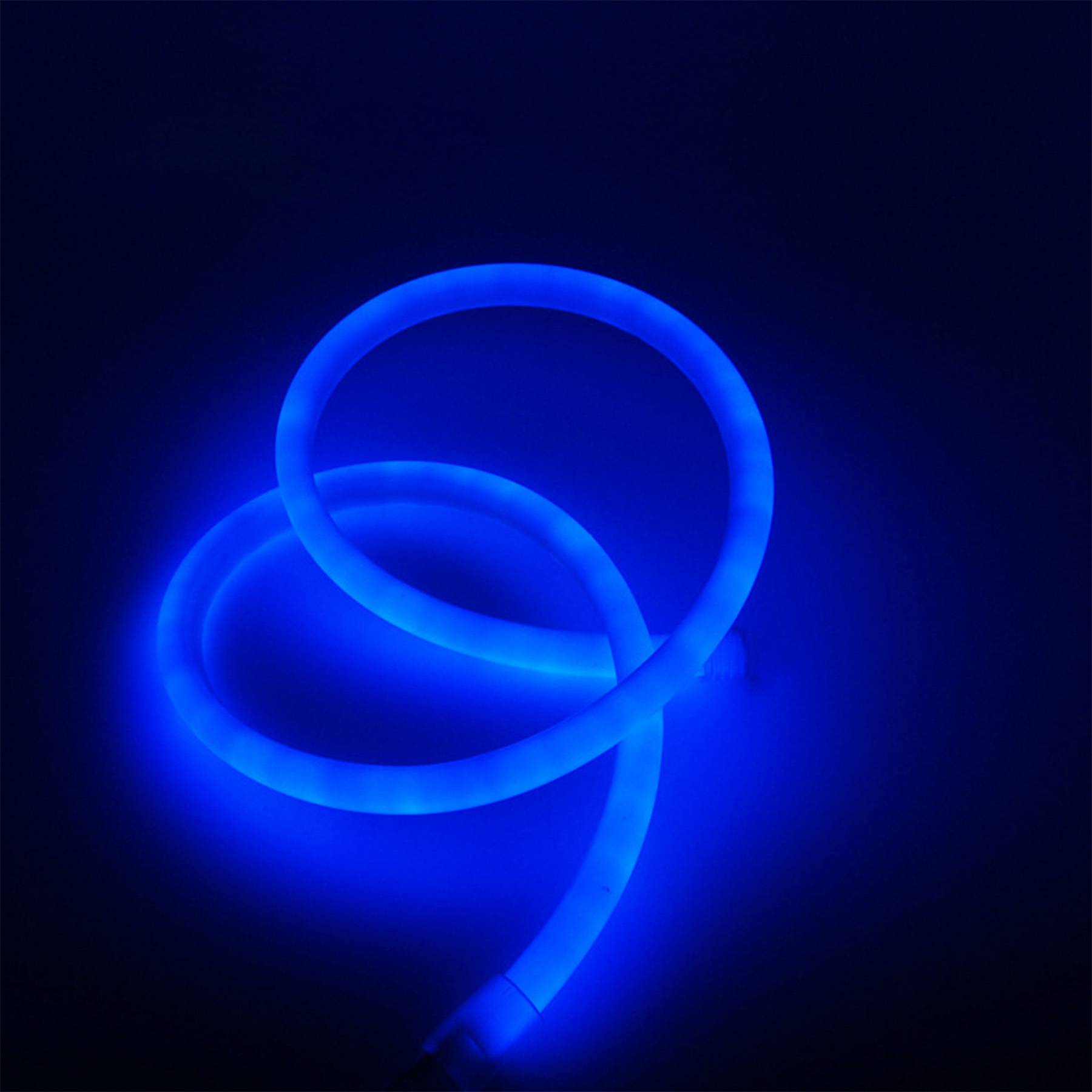 Customized Neon Sign 5