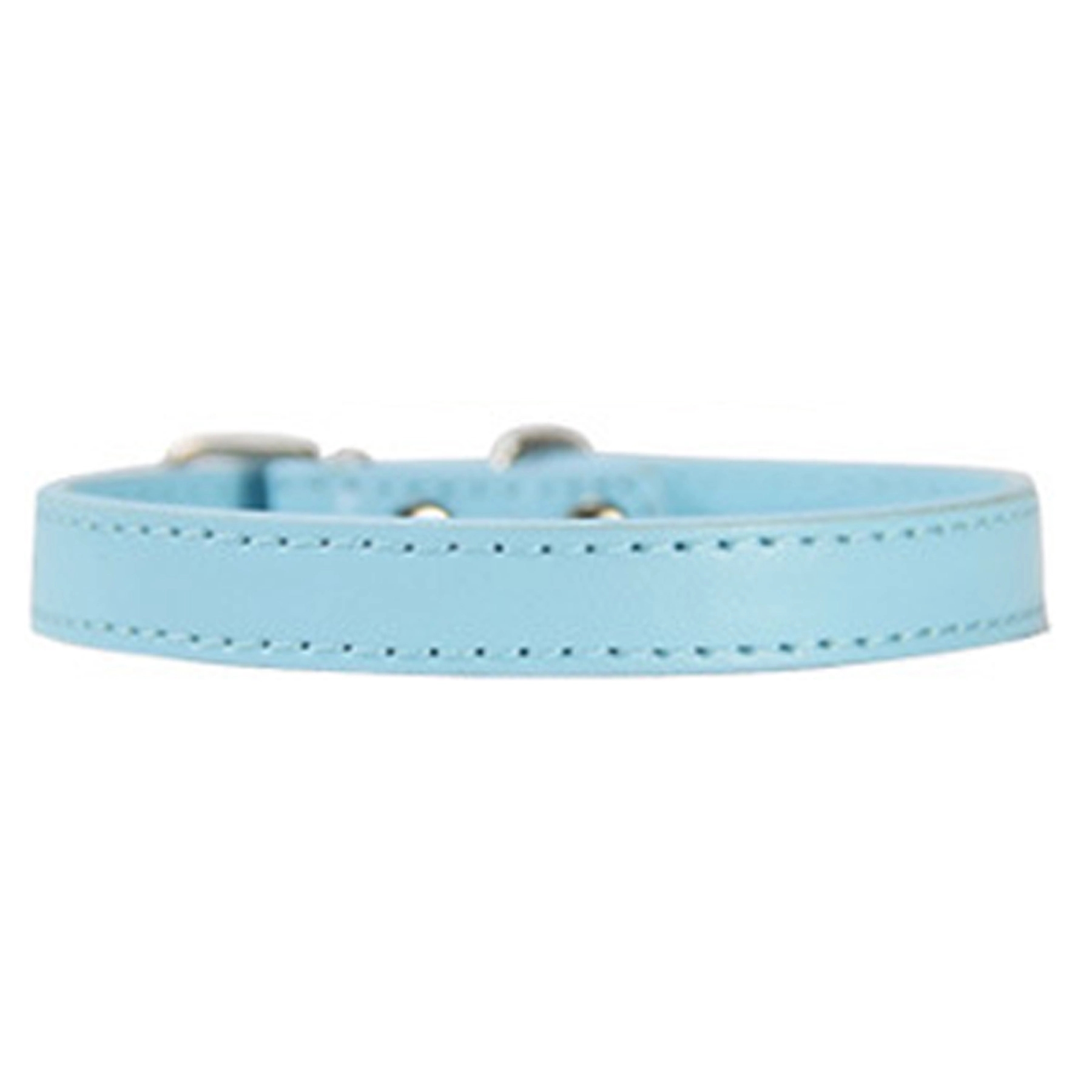 Pet Collar 6