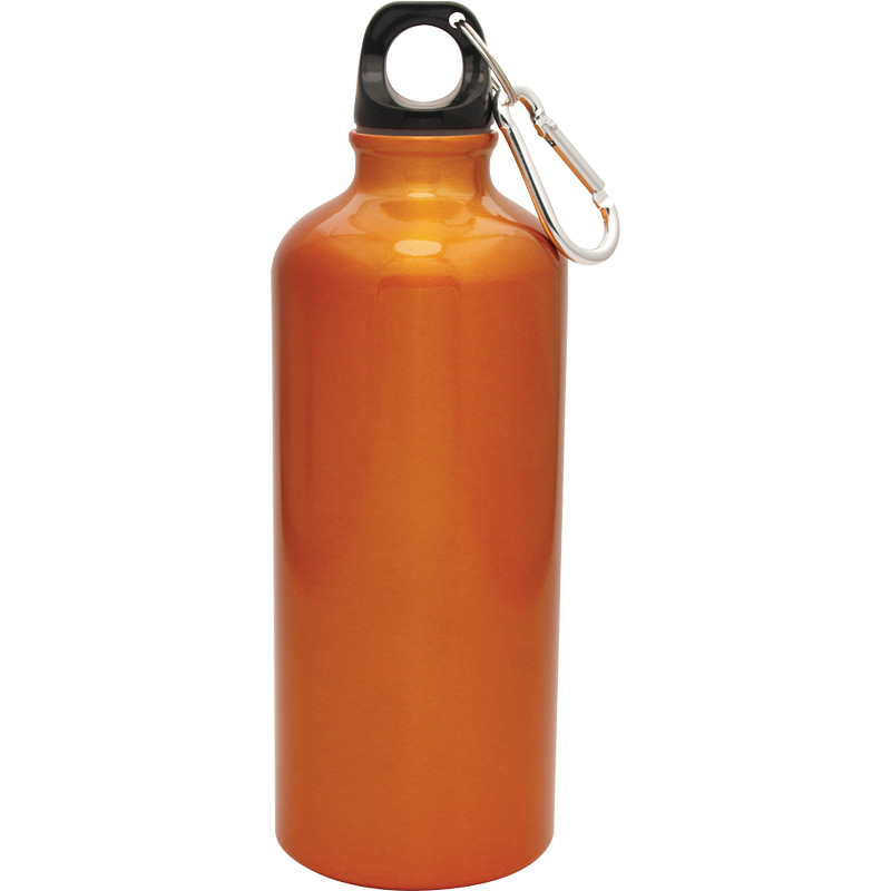 17oz Metal Water Bottle with Carabiner 3