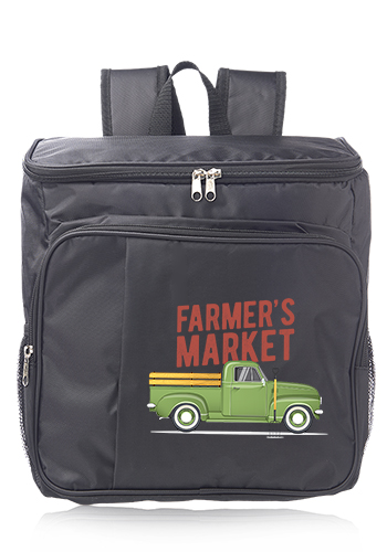Clemson Insulated Cooler Backpacks 1