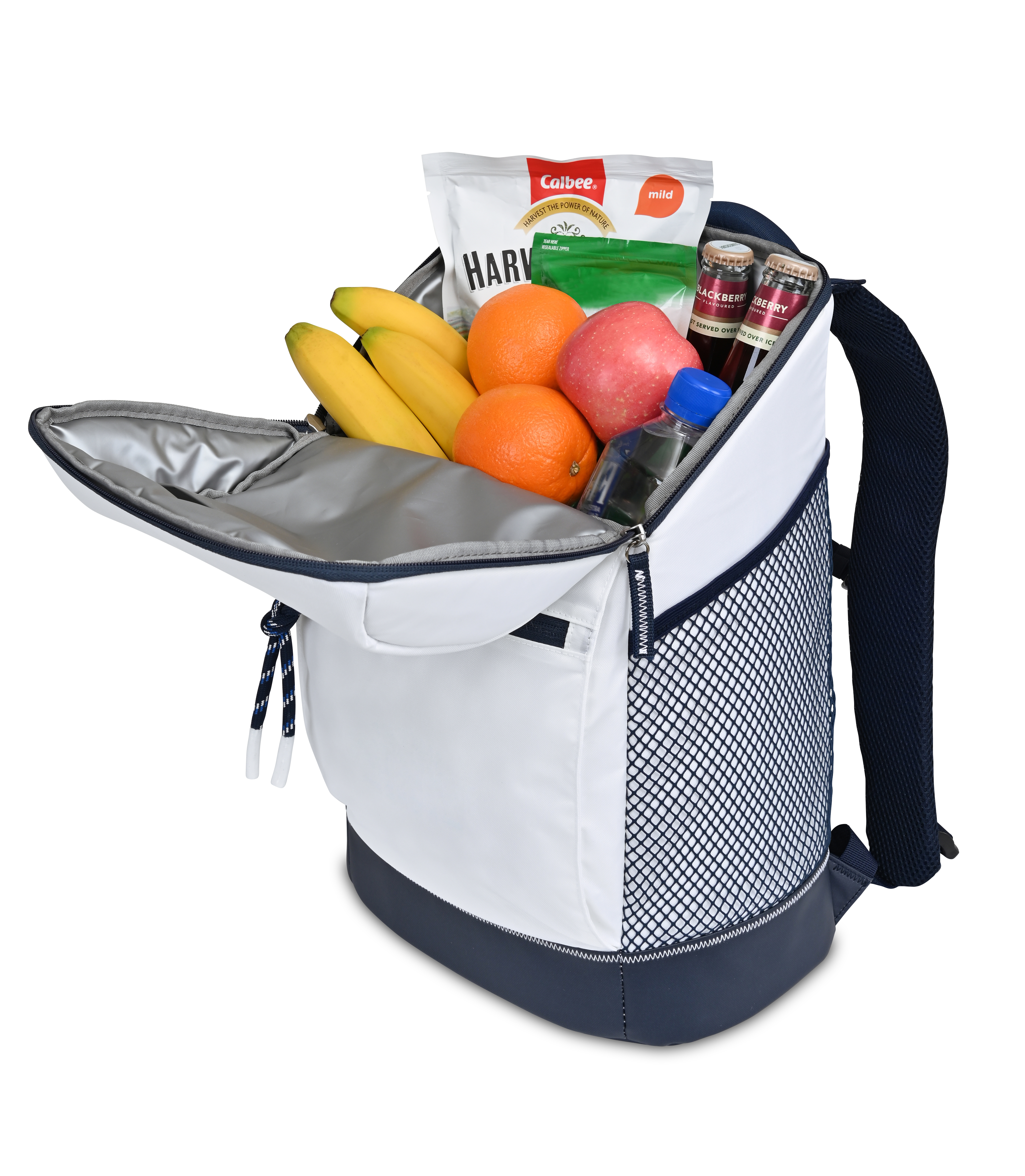 Harborside Backpack Cooler 4