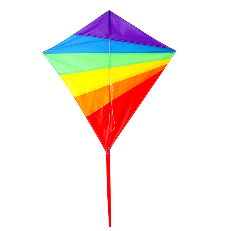 Easy to Fly Kite for Kids 3