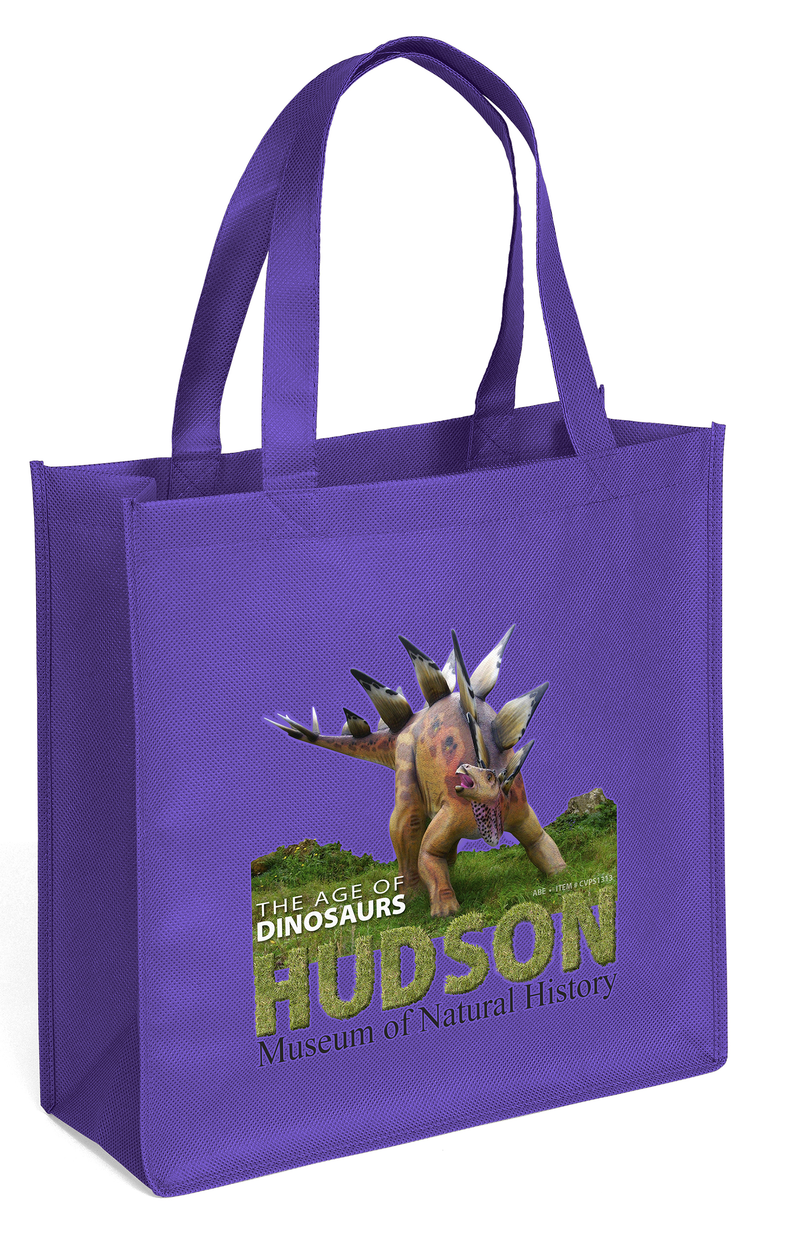Abe - Celebration Tote Bag - ColorVista 18