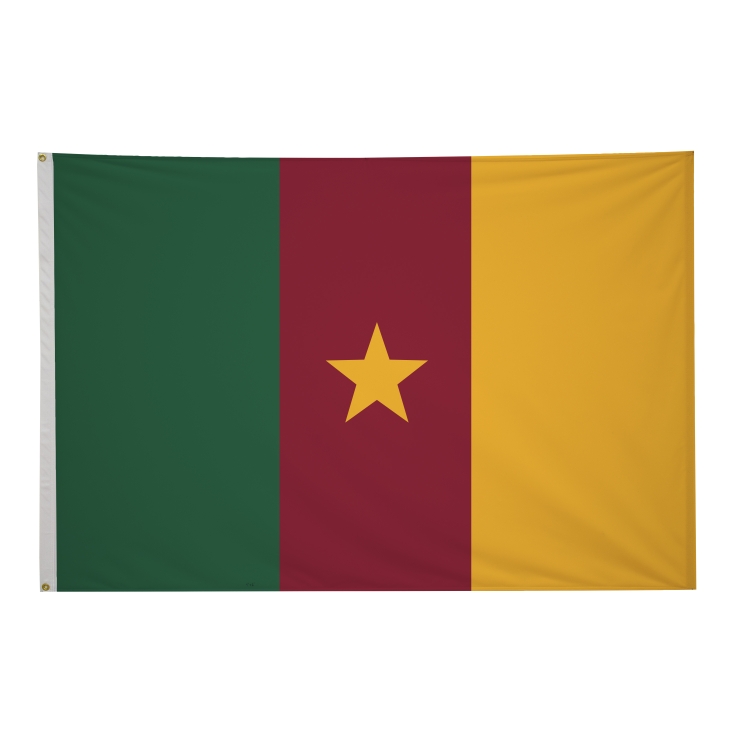 4' x 6' International Flags 259