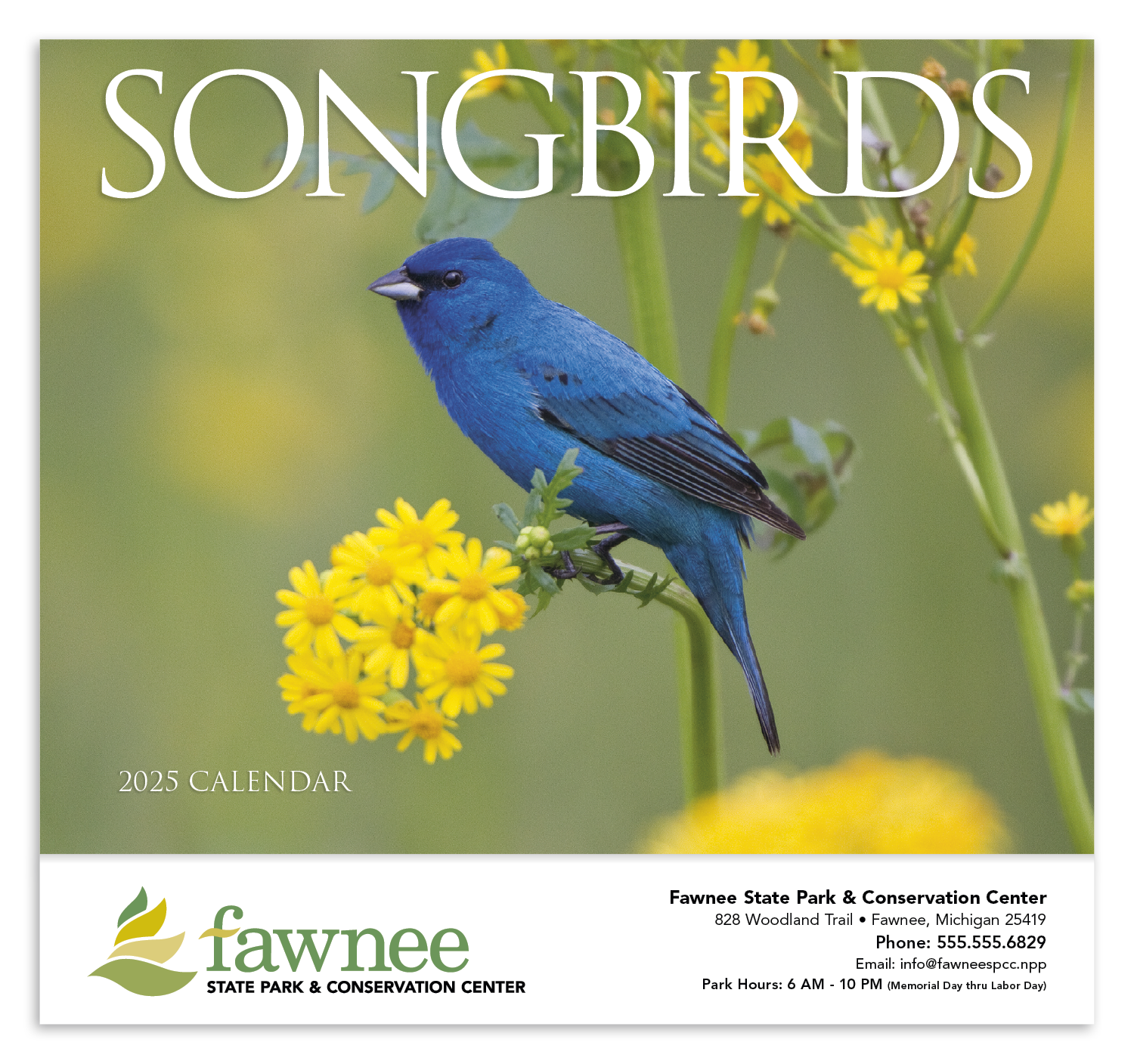 HotLine® Products Songbirds Appointment Calendar - Stapled 42