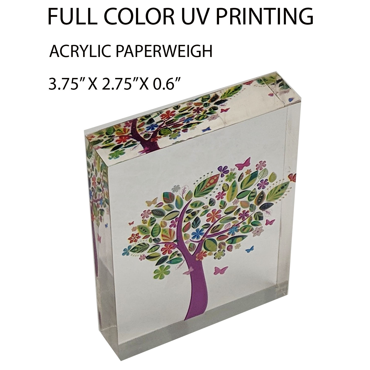 Acrylic Promotional Paperweight/Award Made in USA 5