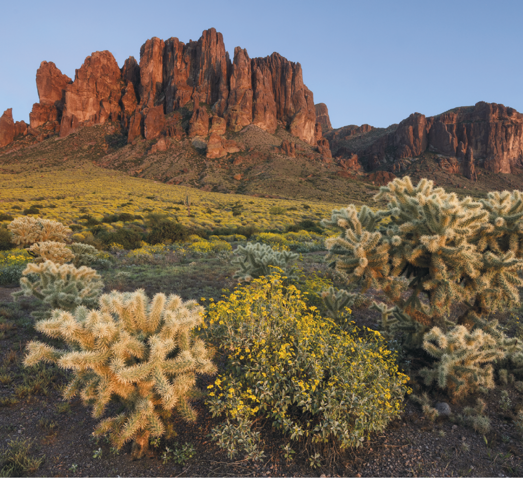 Good Value™ Landscapes of America - Mini Calendar 36