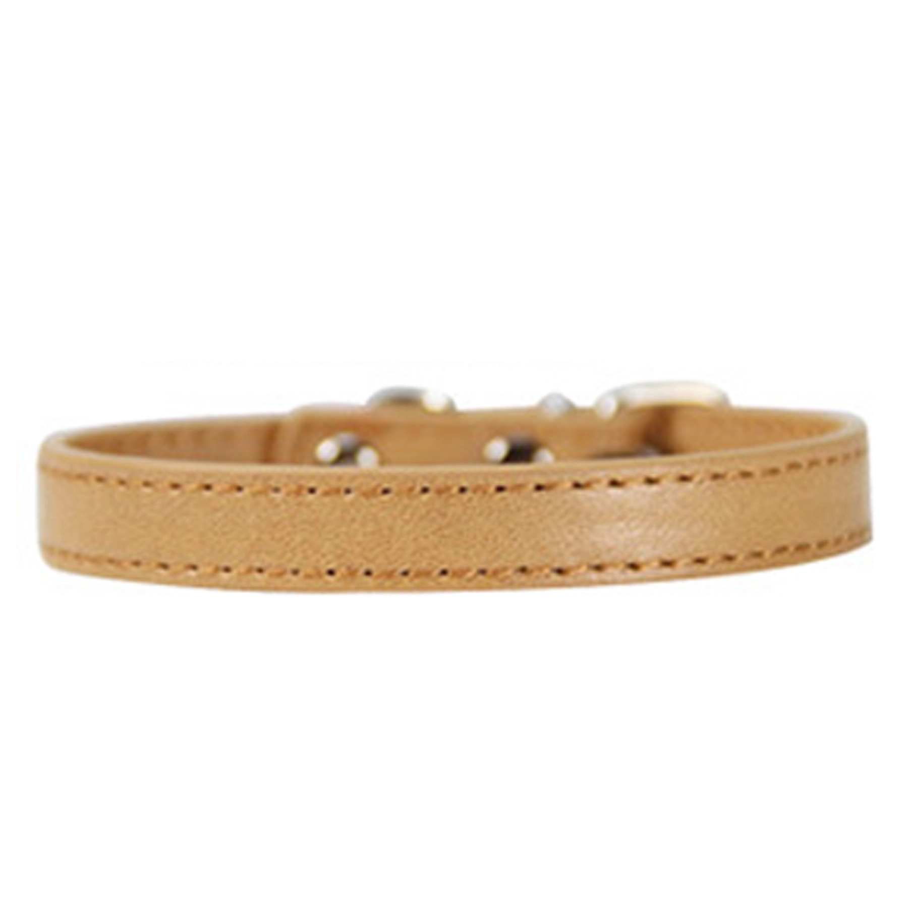 Pet Collar 13