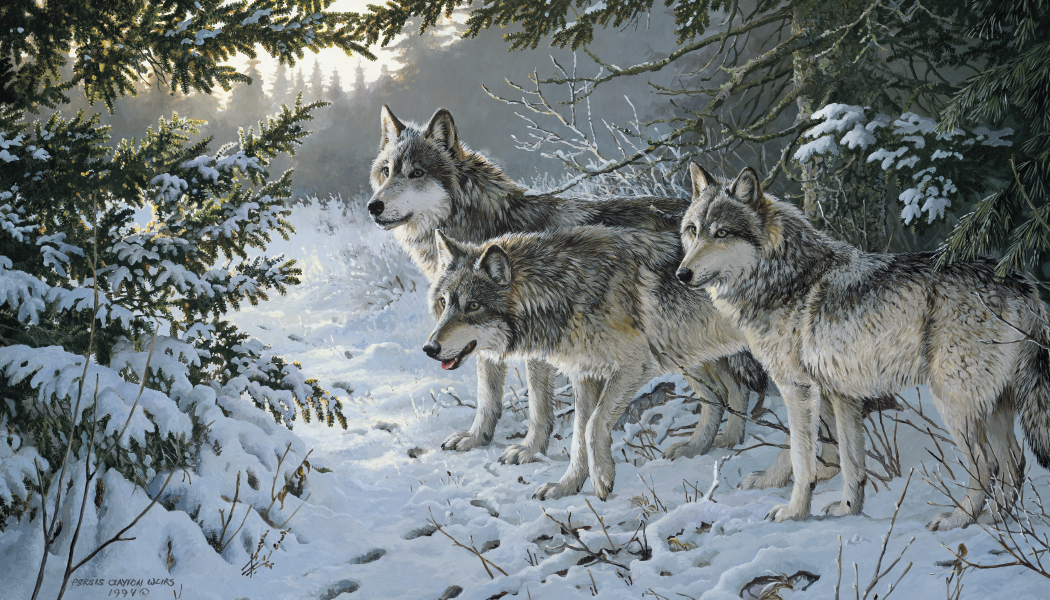 Triumph® Calendars Wildlife Art Calendar 19