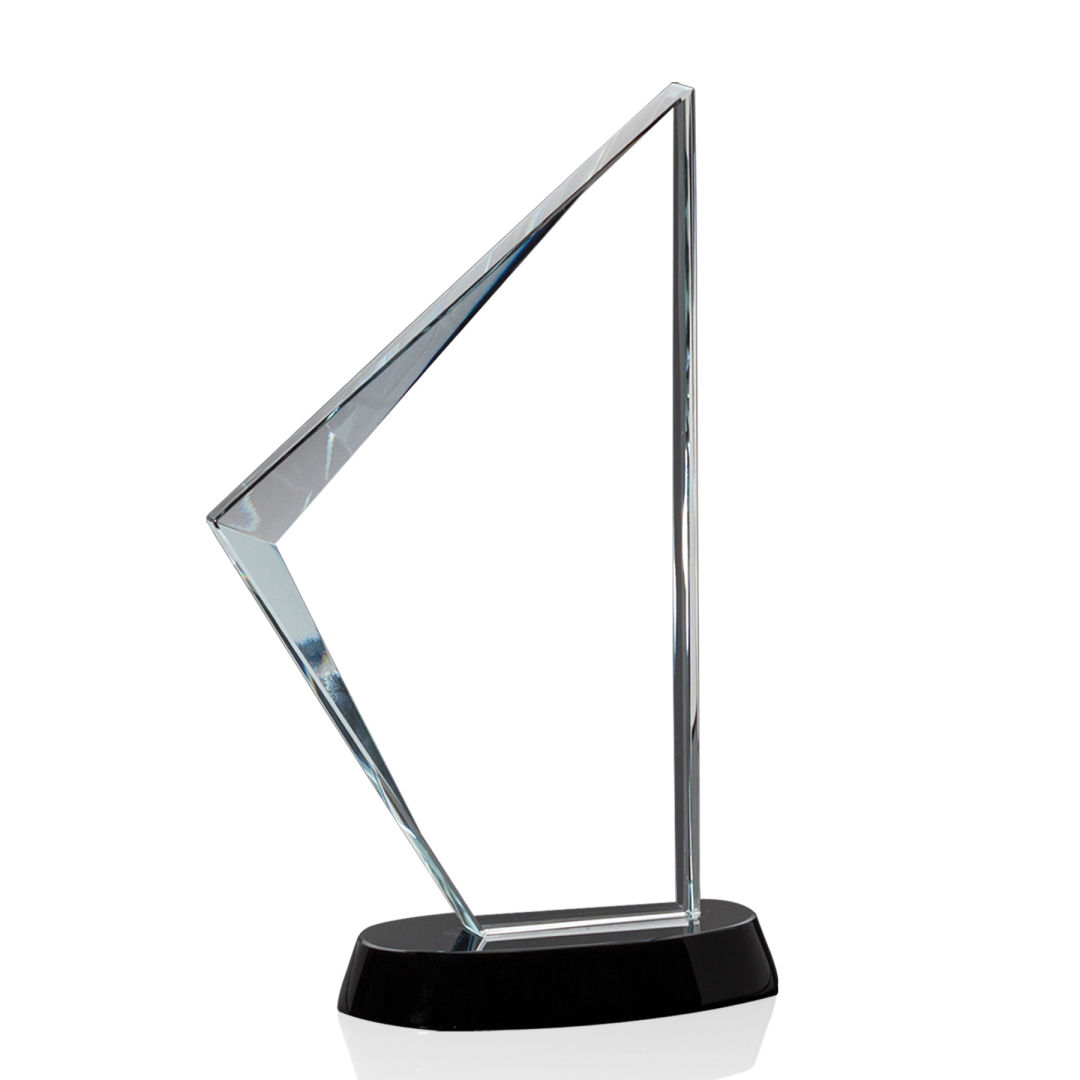 Nevada Award 4