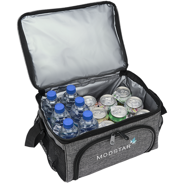 Parcel 24 Can Cooler Bag 4