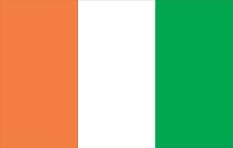 Ivory Coast Flag - 2' x 3' - Nylon 2