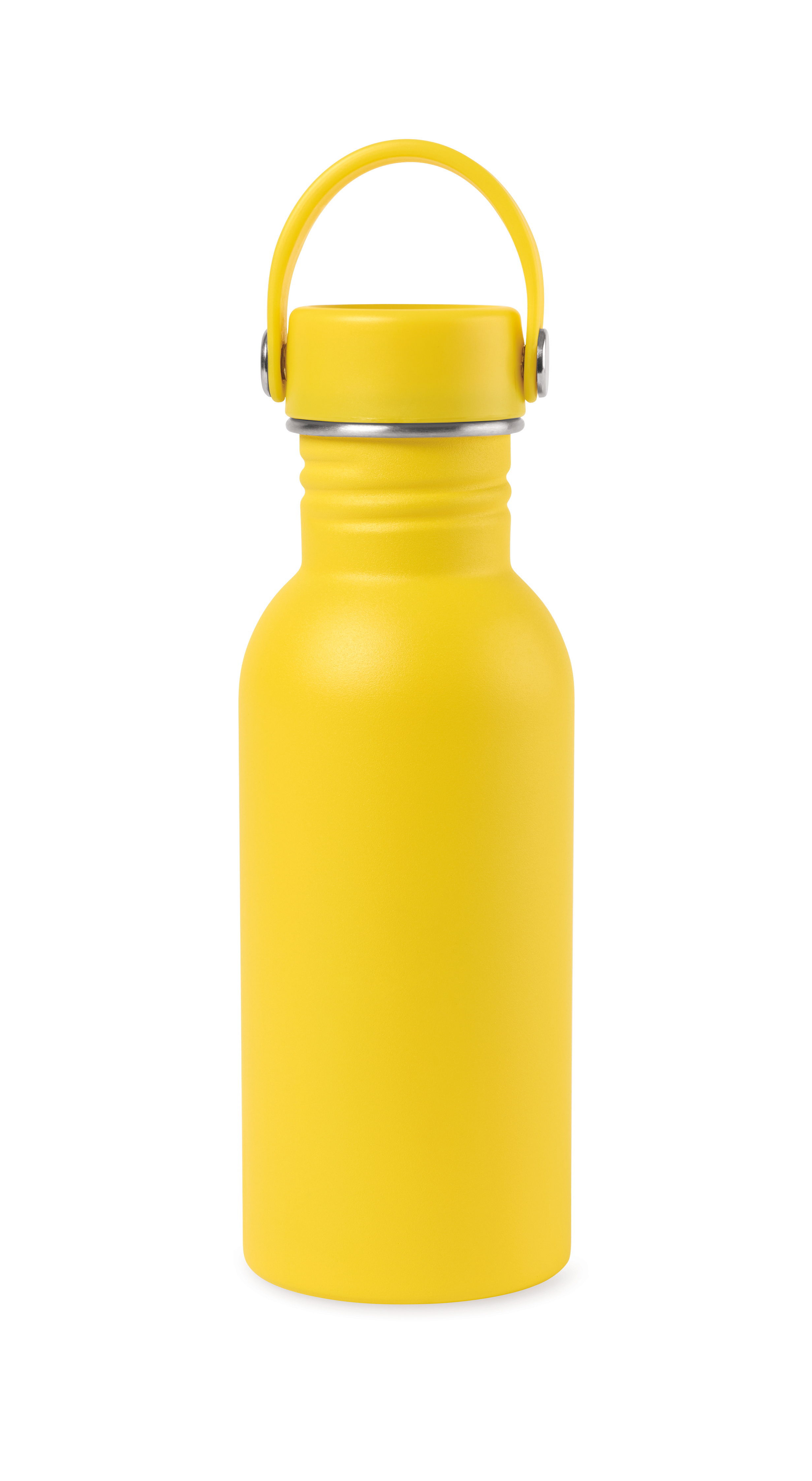 Arlo Classics Stainless Steel Hydration Bottle - 17 Oz. 24