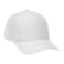 Unisex DOMINATE Ballcap 362