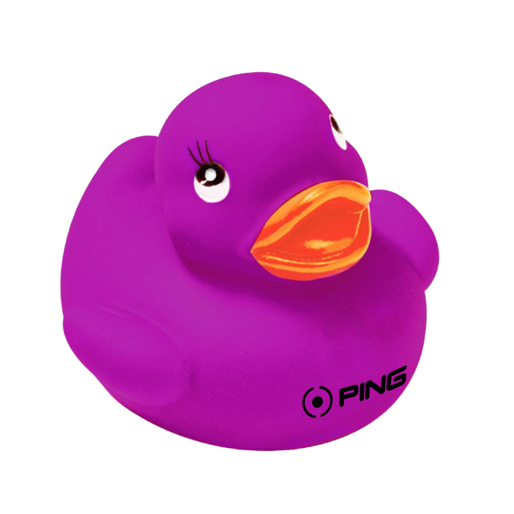 Colorful Duck 4