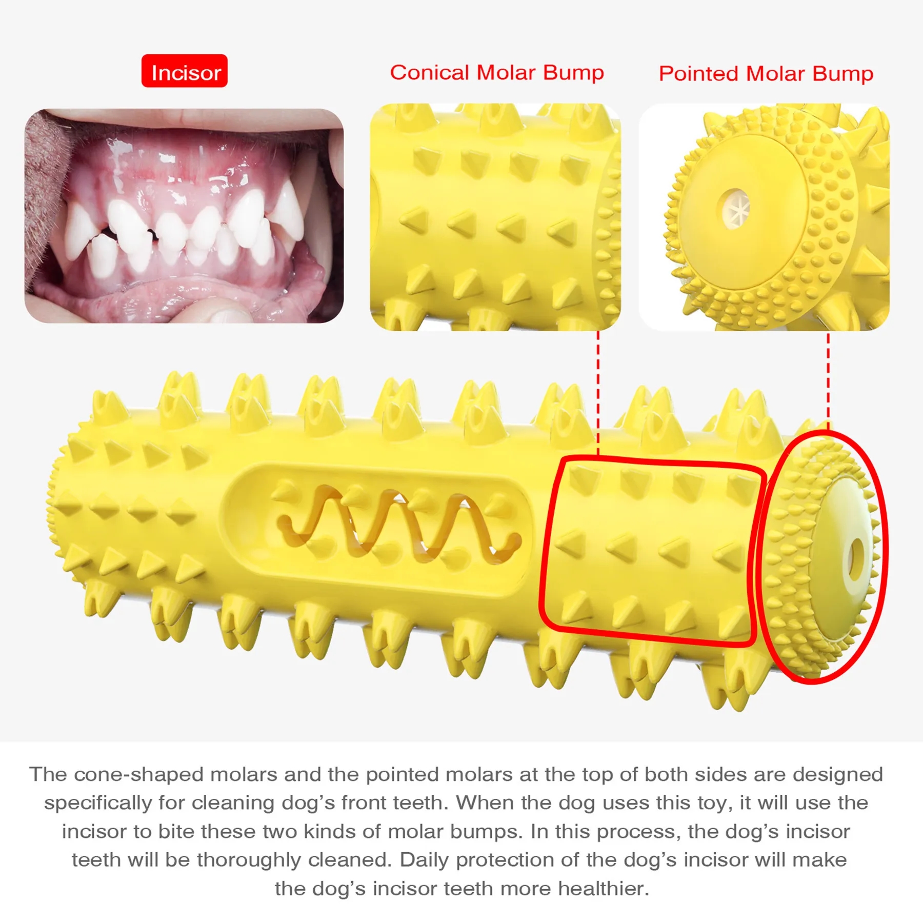 Rubber Dog Teething Stick Toy 3