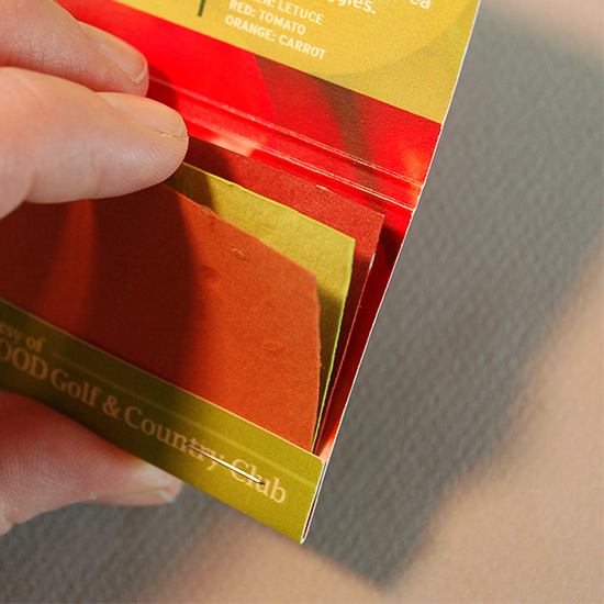 Large Veggie Seed Paper Matchbook, Double-Sided 3