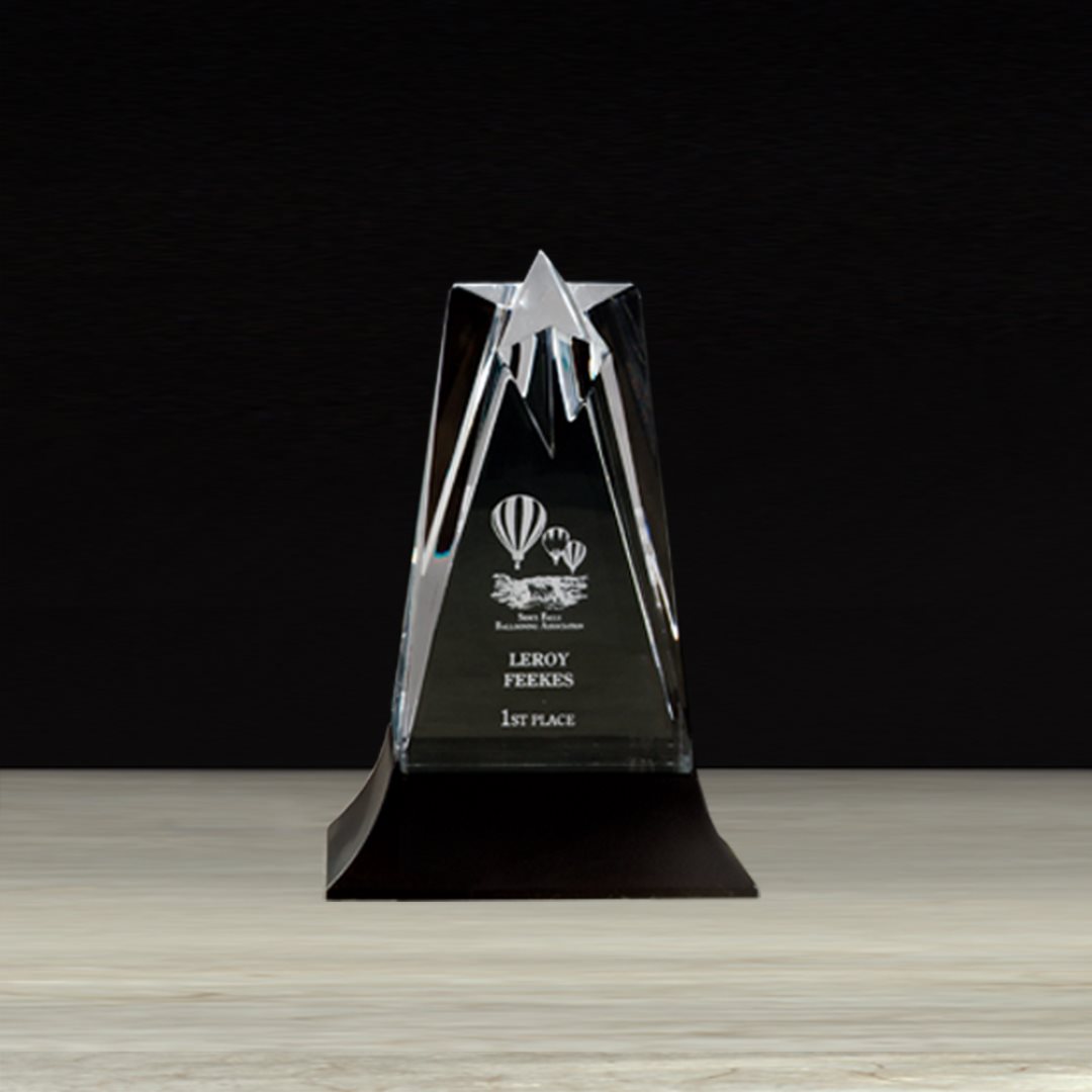 Star Tower Award 4