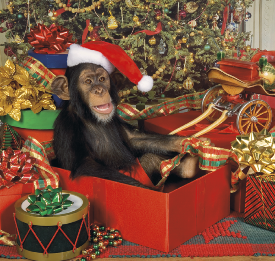 Triumph® Calendars Monkey Business Calendar 22