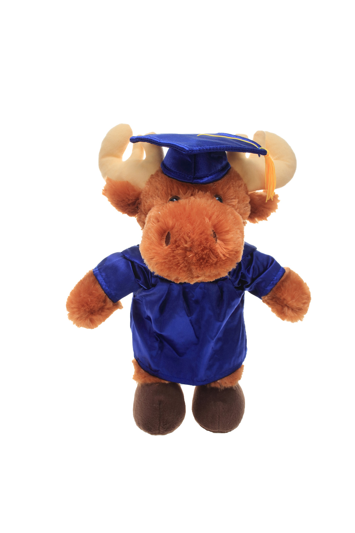 soft plush Moose with graduation cap &gown 5