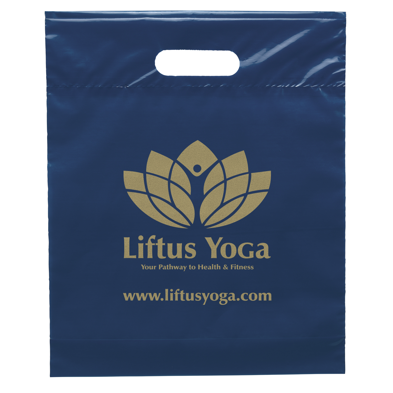 Die Cut Handle Bag - 12W x 15H x 3 - Flexo Ink Print 19