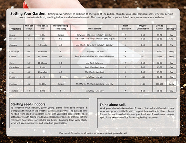 Gardening 12 Sheet Wall Calendar 4