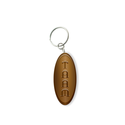 Customized Solid Iron Keychain with Antique Brass Plating 3