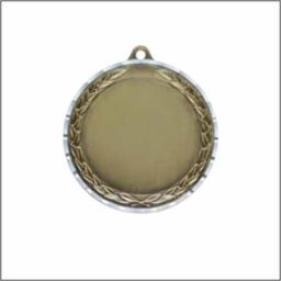2" Insert Holder Medal 1