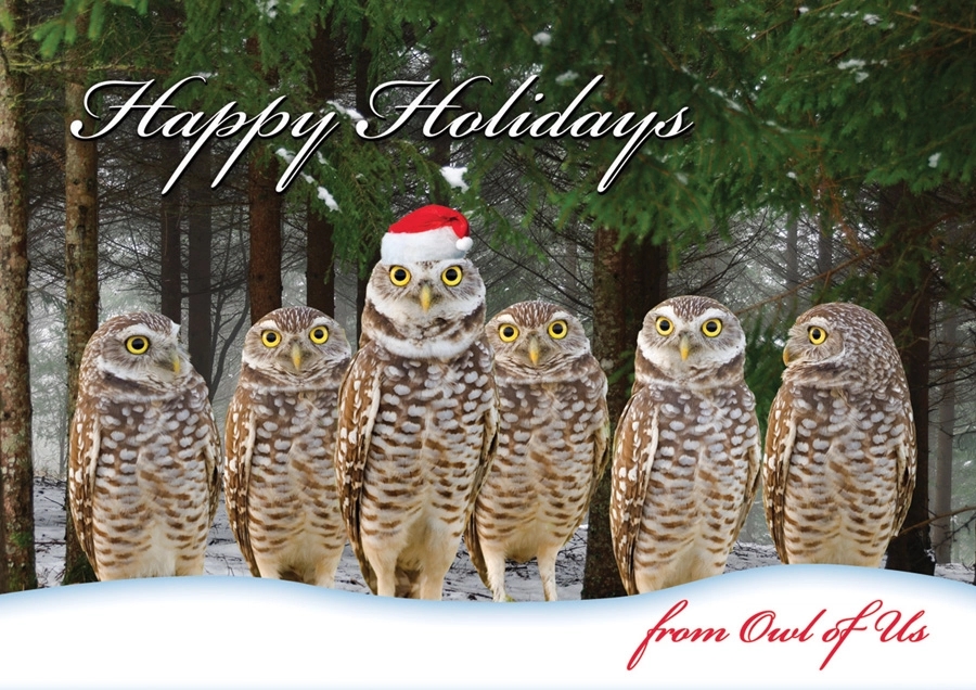 Owl of Us Christmas Cards 2