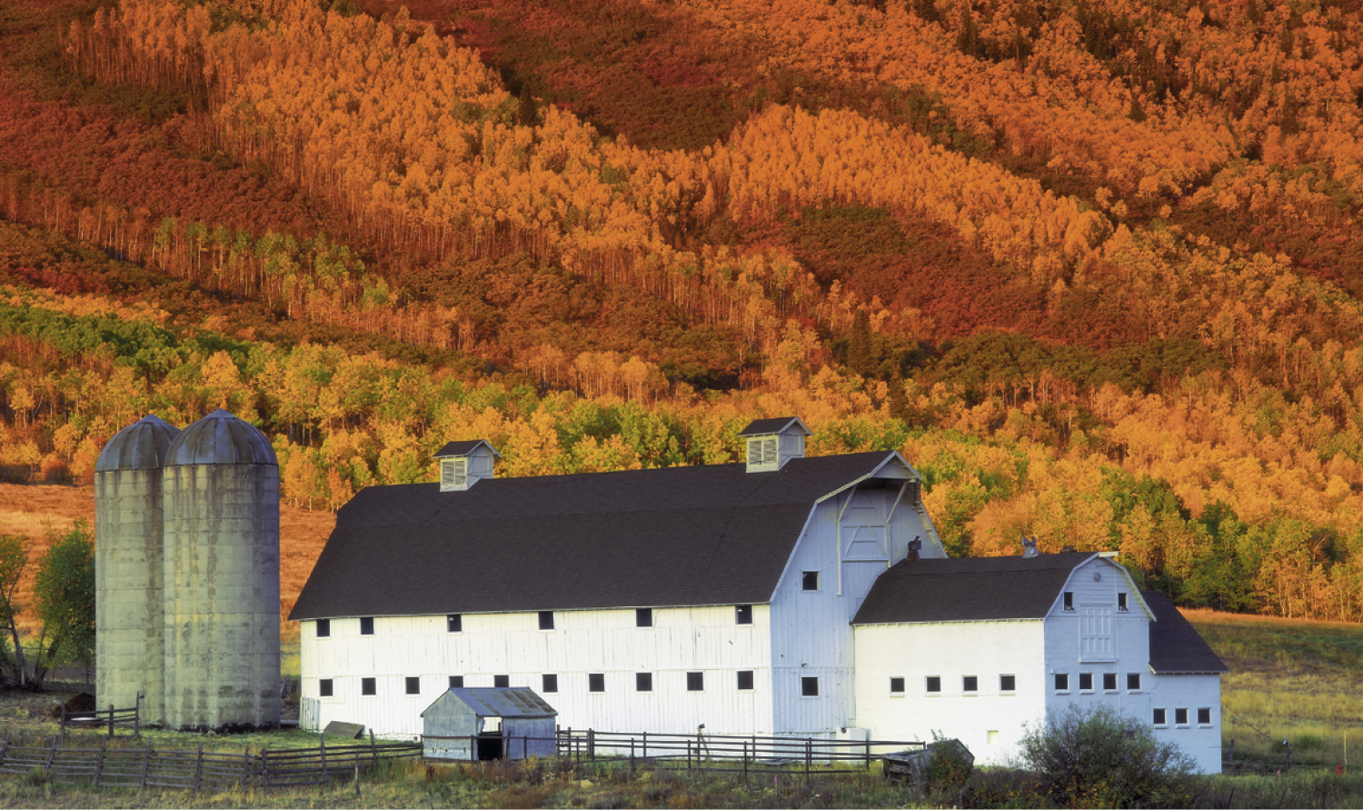 Triumph® Calendars Single Pocket Calendar 28