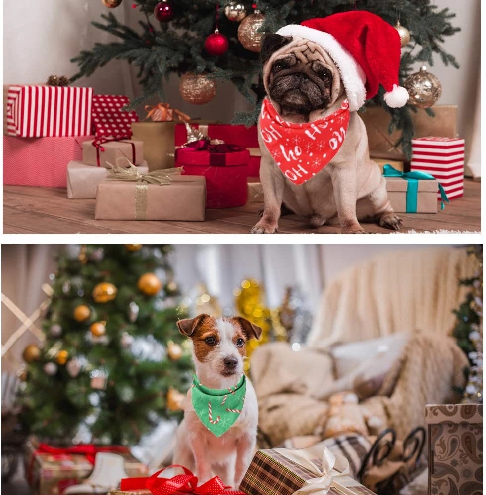 Christmas Pet Scarf 2
