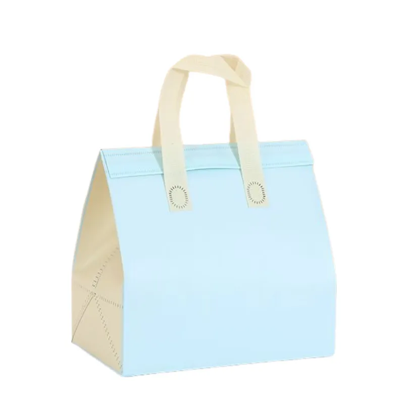 Reusable Lunch Bag 12