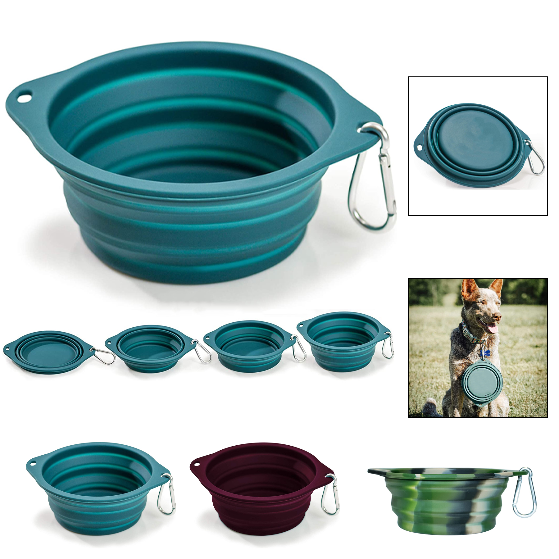 Collapsible Pet Bowl 1