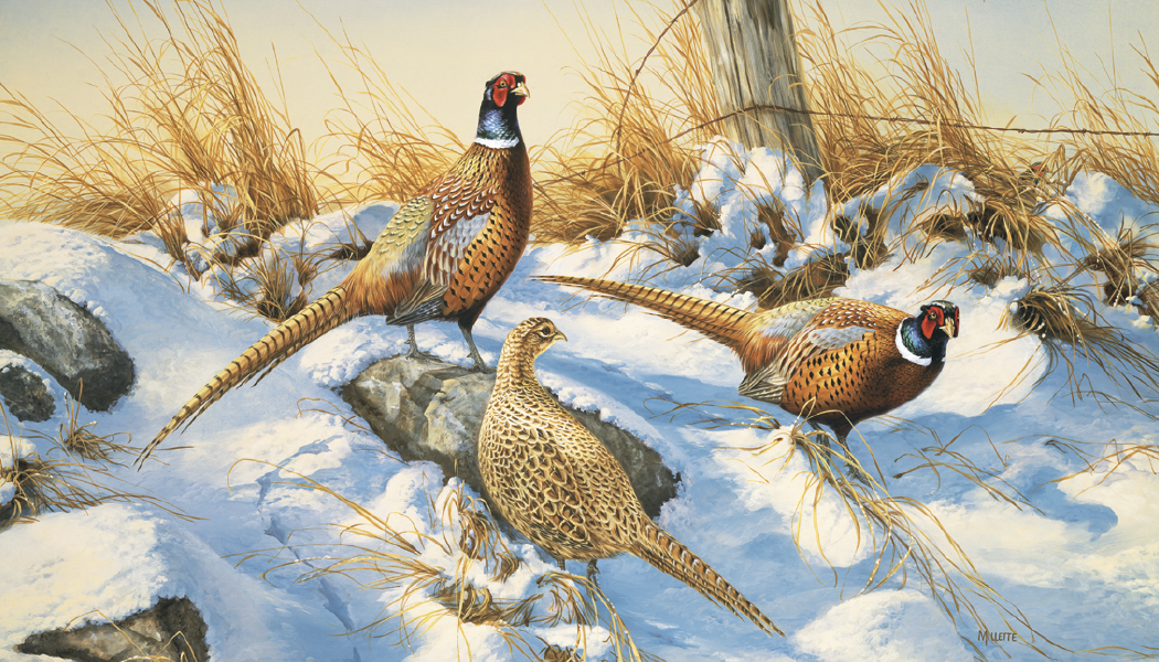 Triumph® Calendars Wildlife Art Calendar 6