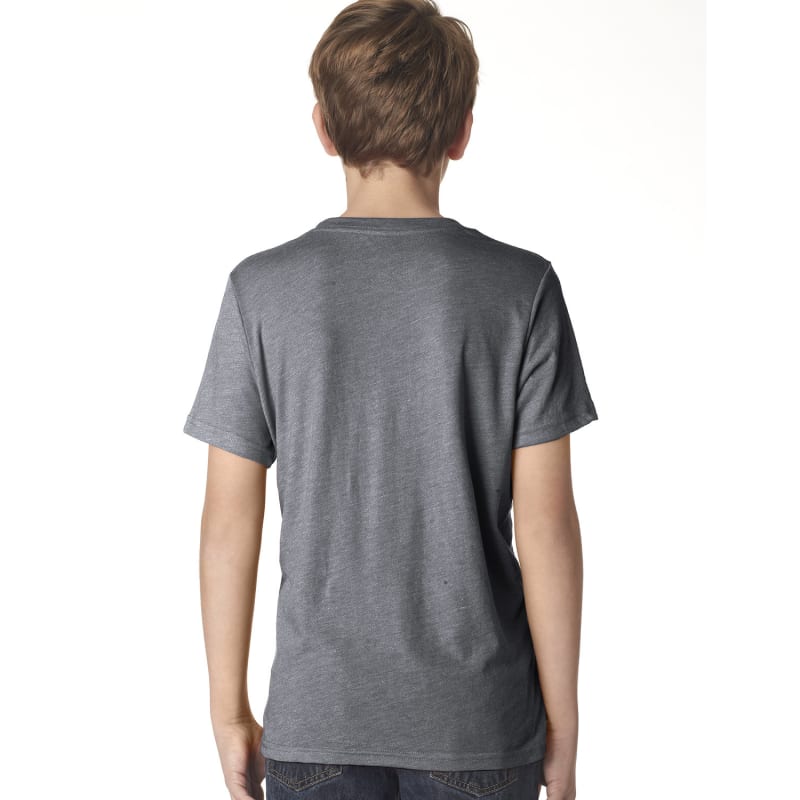 Next Level Apparel Youth Triblend Crew 4