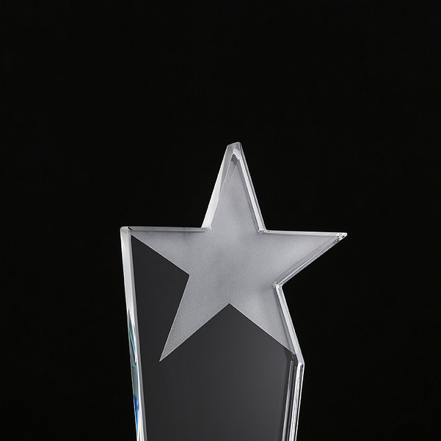 Crystal Trophy A19-124 6