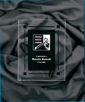 8" x 10" Solid Black Acrylic Clear-Plaq Award 2